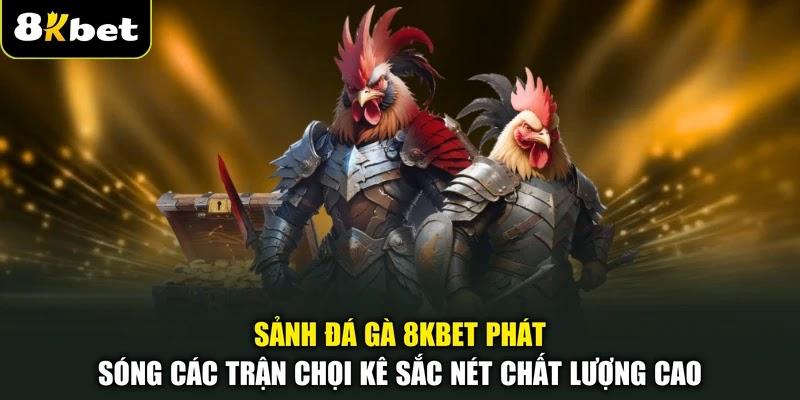 Sảnh đá gà 8KBET phát sóng các trận chọi kê sắc nét chất lượng cao Sảnh đá gà 8KBET phát sóng các trận chọi kê sắc nét chất lượng cao
